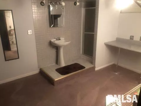 3212 Neptune Ave, Springfield, IL 62707 photo 10