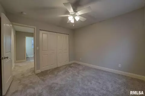 4005 Milan Rd, Springfield, IL 62703 photo 25