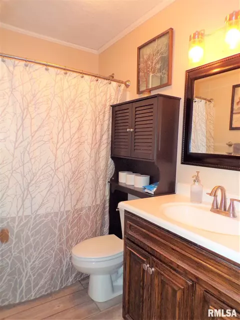 124 N Johnson St, Oneida, IL 61467 photo 19