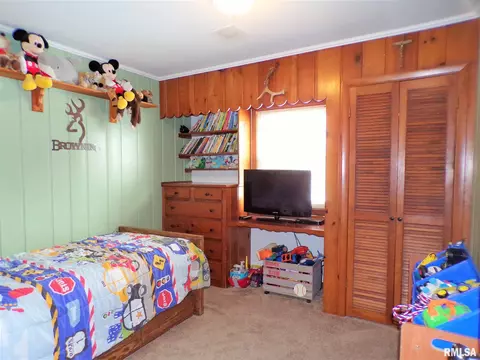 124 N Johnson St, Oneida, IL 61467 photo 20