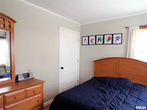 124 N Johnson St, Oneida, IL 61467 photo 28