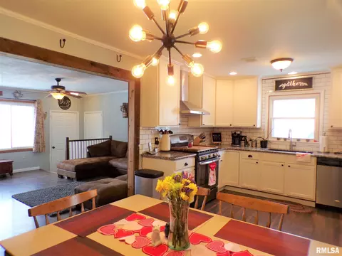 124 N Johnson St, Oneida, IL 61467 photo 11