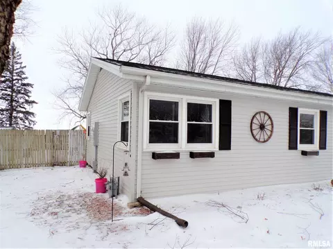124 N Johnson St, Oneida, IL 61467 photo 3