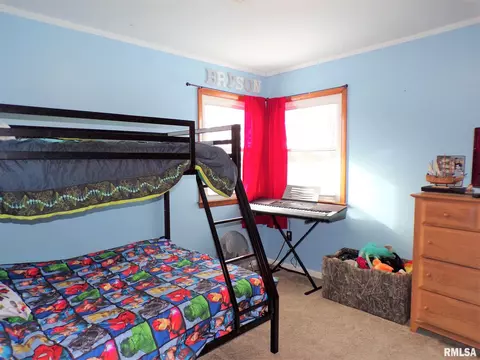 124 N Johnson St, Oneida, IL 61467 photo 22