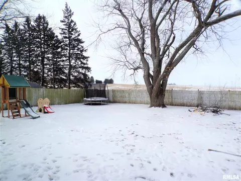 124 N Johnson St, Oneida, IL 61467 photo 6
