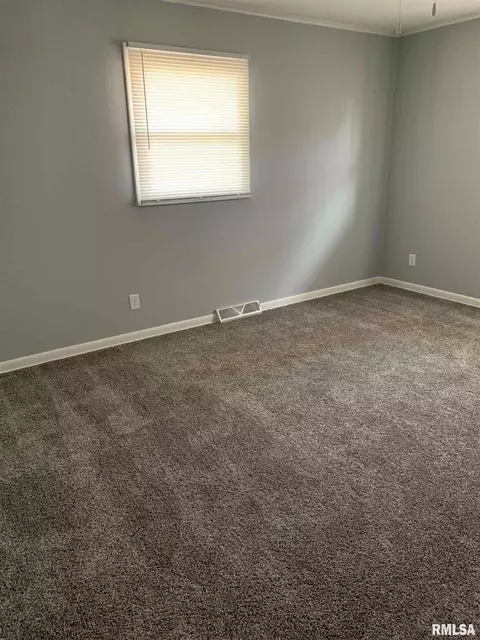312 N Daniel Ave, Springfield, IL 62702 photo 19