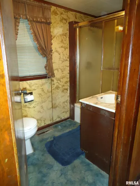 607 E Wabash Ave, Alexander, IL 62601 photo 14