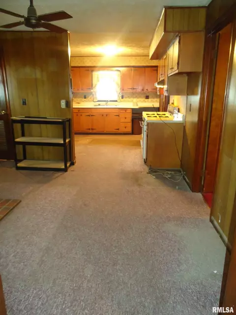 607 E Wabash Ave, Alexander, IL 62601 photo 9
