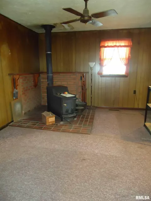 607 E Wabash Ave, Alexander, IL 62601 photo 11