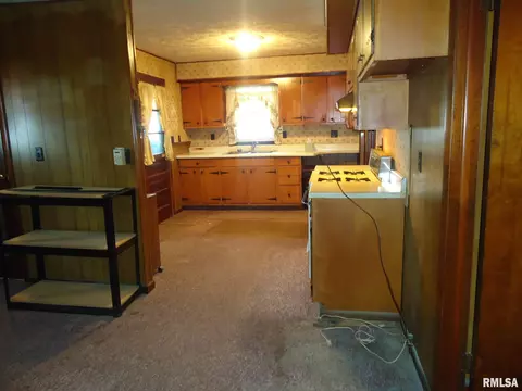 607 E Wabash Ave, Alexander, IL 62601 photo 8