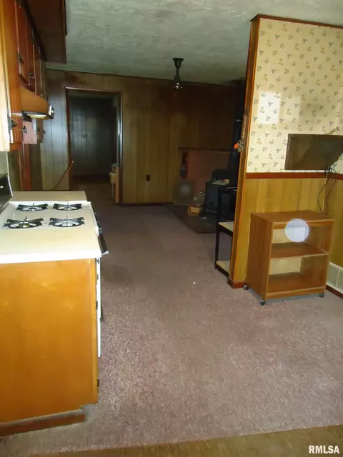 607 E Wabash Ave, Alexander, IL 62601 photo 10