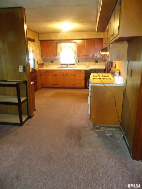 607 E Wabash Ave, Alexander, IL 62601 photo 7