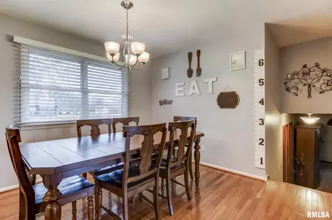 623 E Main St, Rochester, IL 62563 photo 9