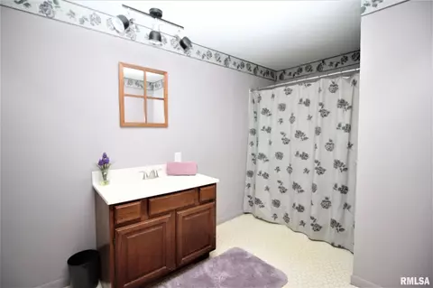 574 100th Ave, Athens, IL 62613 photo 29