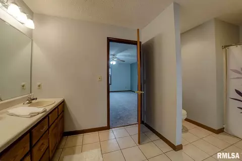 109 Forest Park, Chatham, IL 62629 photo 24