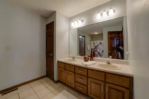 109 Forest Park, Chatham, IL 62629 photo 26