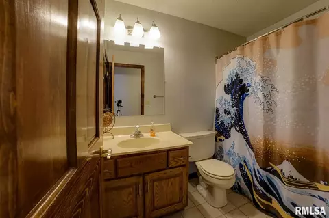 109 Forest Park, Chatham, IL 62629 photo 35