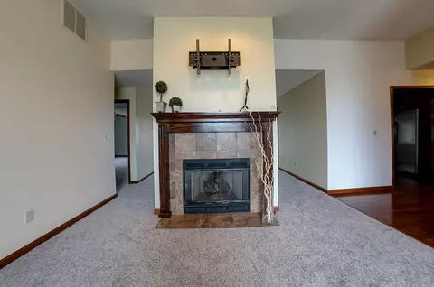 109 Forest Park, Chatham, IL 62629 photo 15