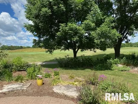 4905 Wildcat Run, Springfield, IL 62711 photo 3