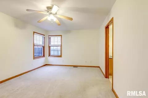 525 Willows Ave, Chatham, IL 62629 photo 16