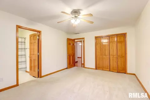 525 Willows Ave, Chatham, IL 62629 photo 15