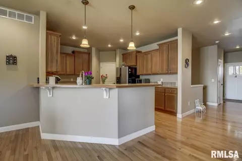 520 E Spruce St, Chatham, IL 62629 photo 12