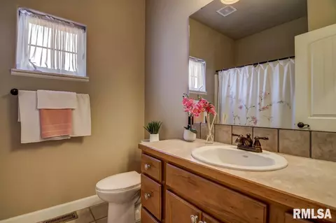 520 E Spruce St, Chatham, IL 62629 photo 27