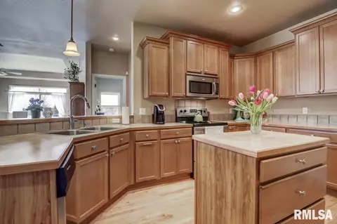 520 E Spruce St, Chatham, IL 62629 photo 13