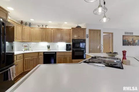 3700 W Bluffs Rd, Springfield, IL 62711 photo 15