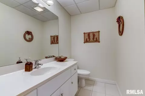 6412 Bent Tree Ct, Springfield, IL 62712 photo 45