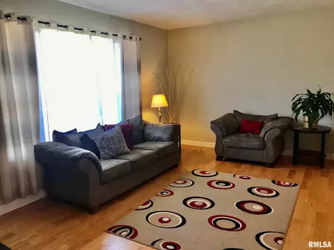 816 Randolph Ct, Springfield, IL 62702 photo 6