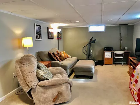 816 Randolph Ct, Springfield, IL 62702 photo 28