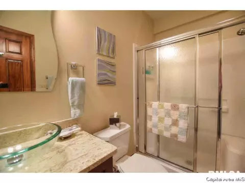 1705 Catherine Ct, Springfield, IL 62704 photo 21