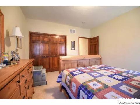 1705 Catherine Ct, Springfield, IL 62704 photo 20