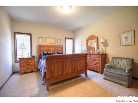 1705 Catherine Ct, Springfield, IL 62704 photo 22