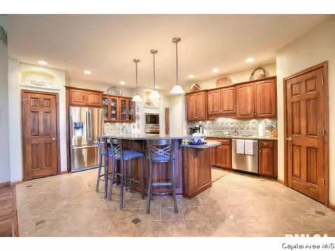 1705 Catherine Ct, Springfield, IL 62704 photo 11