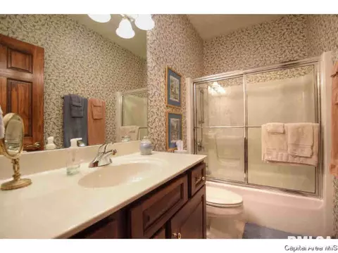 1705 Catherine Ct, Springfield, IL 62704 photo 23