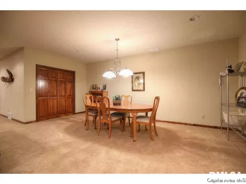 1705 Catherine Ct, Springfield, IL 62704 photo 30