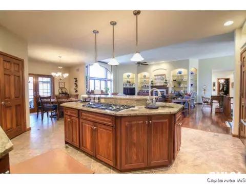 1705 Catherine Ct, Springfield, IL 62704 photo 10