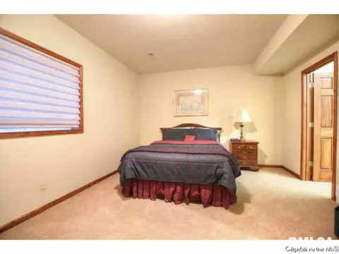 1705 Catherine Ct, Springfield, IL 62704 photo 25