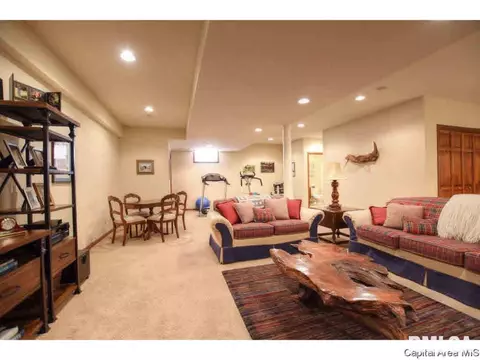 1705 Catherine Ct, Springfield, IL 62704 photo 29