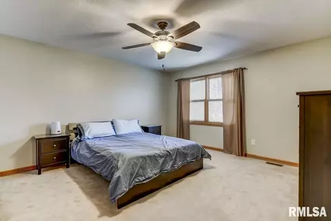 2312 Mallard Pointe Ct, Springfield, IL 62712 photo 32
