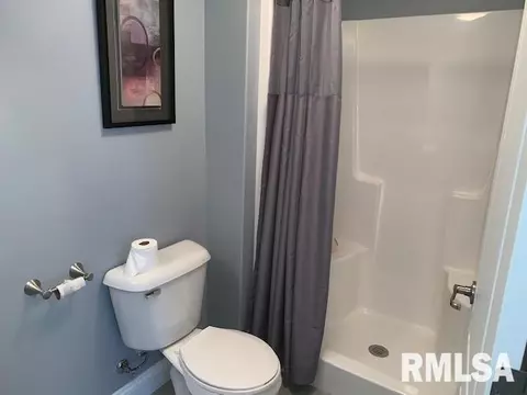 17 Forest Ridge Ln, Springfield, IL 62712 photo 43