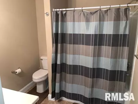 17 Forest Ridge Ln, Springfield, IL 62712 photo 23