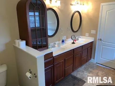 17 Forest Ridge Ln, Springfield, IL 62712 photo 31