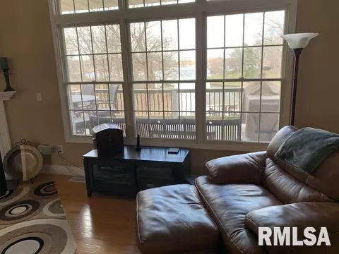 17 Forest Ridge Ln, Springfield, IL 62712 photo 50