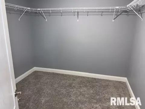 17 Forest Ridge Ln, Springfield, IL 62712 photo 41