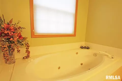 3904 Surry Place Ln, Springfield, IL 62711 photo 26