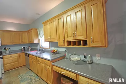 3904 Surry Place Ln, Springfield, IL 62711 photo 9