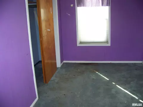 702 E Chestnut St, Chatham, IL 62629 photo 3